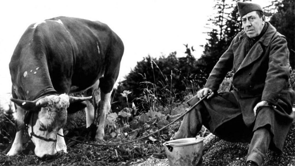 Oh la vache ! Une série de trois rencontres pour découvrir la vache autrement : des gravures du fonds ancien de la médiathèque à la symbolique de l’animal et sa place dans l’art.